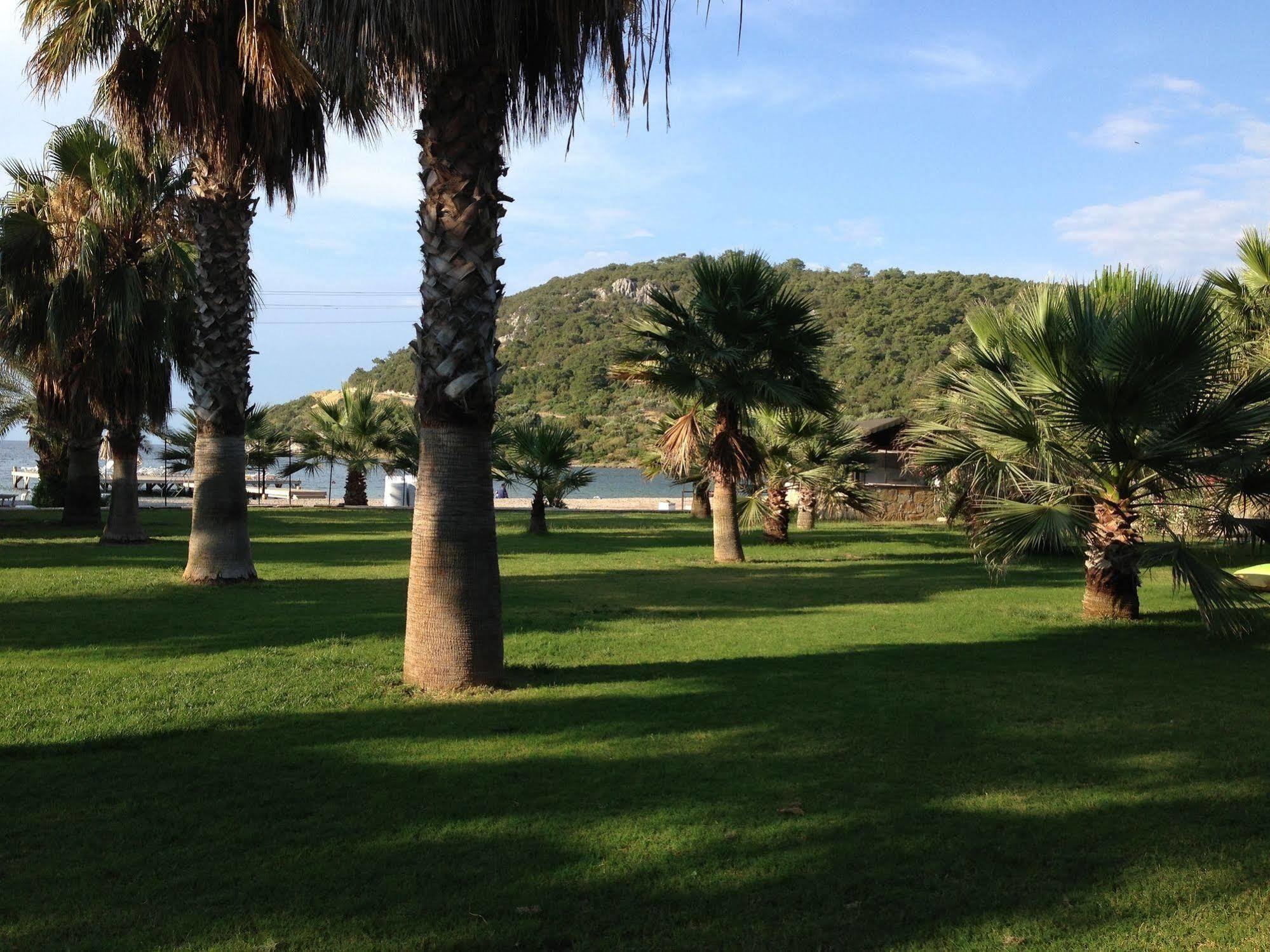 Selvi Beach Hotel Golturkbuku Exteriér fotografie